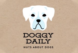 doggy_Daily_logo_BOXER_final-01-1100-746_345x@2x