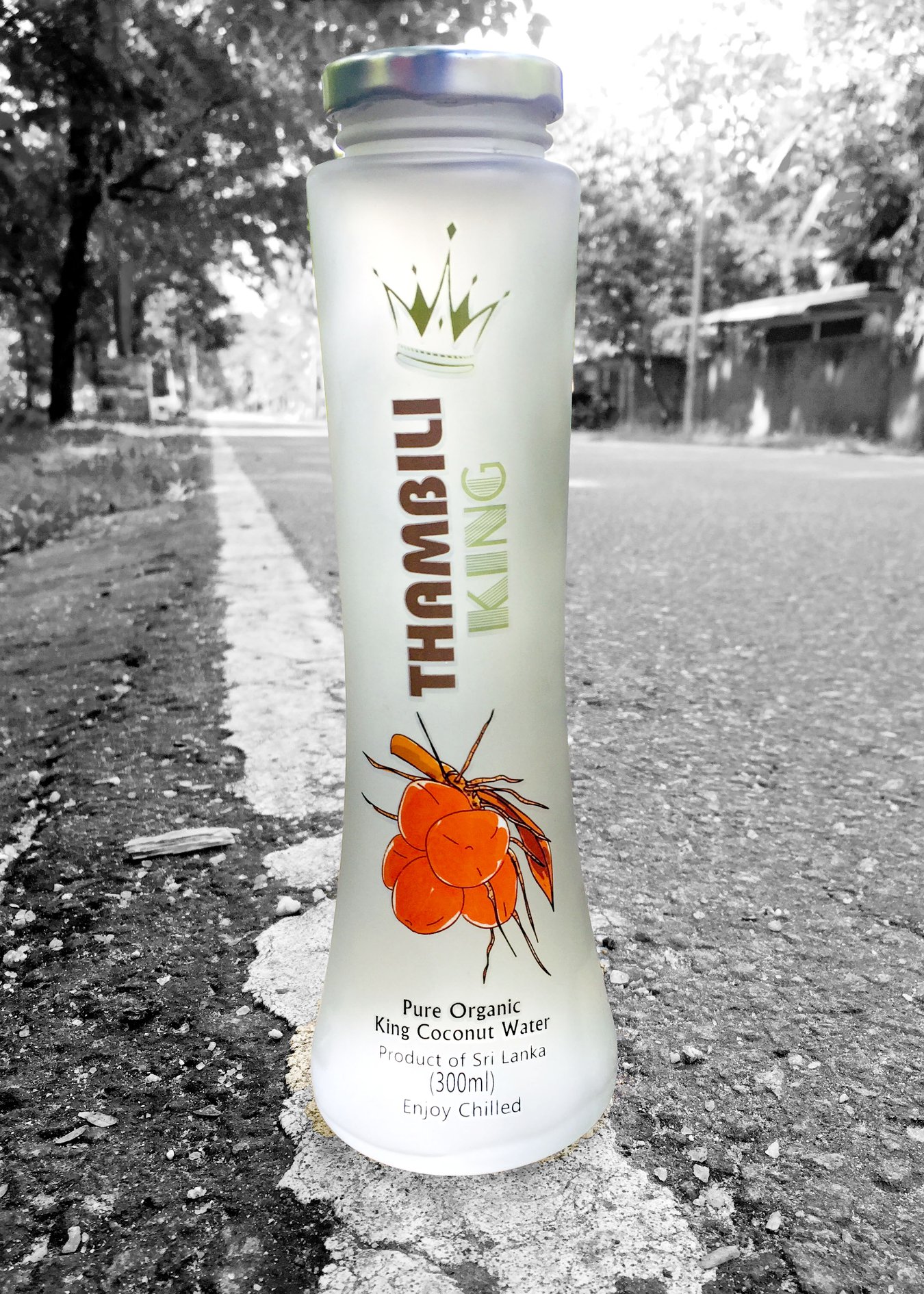 Organic King Coconut Water Ceylon Kokonati